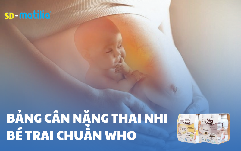 Cân nặng thai nhi bé trai theo tiêu chuẩn WHO qua mỗi tuần, tháng