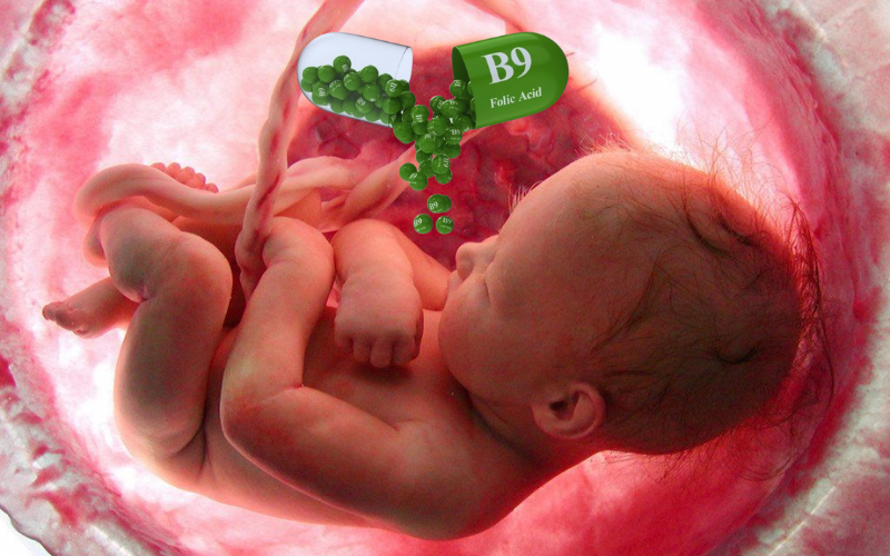 Vai trò của Axit Folic đối với sức khỏe thai nhi