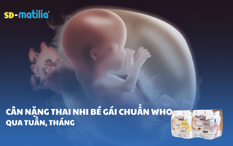 Cân nặng thai nhi bé gái theo tiêu chuẩn WHO qua mỗi tuần, tháng