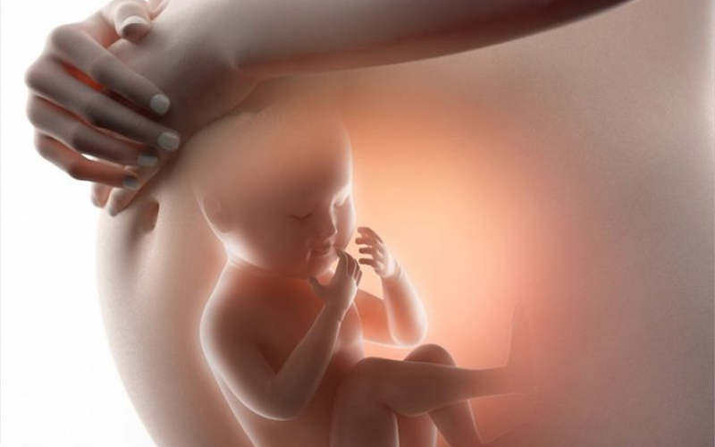 Yếu tố di truyền