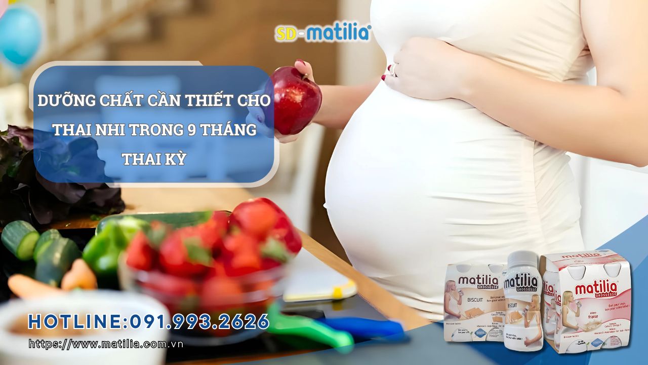 Cần bổ sung dưỡng chất gì cho thai nhi trong 9 tháng mang thai?