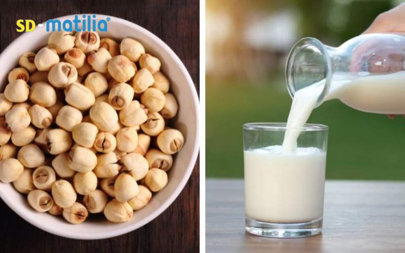 Sữa hạt sen có tác dụng giảm mệt mỏi, xoa dịu tinh thần, giúp ngủ ngon sâu giấc