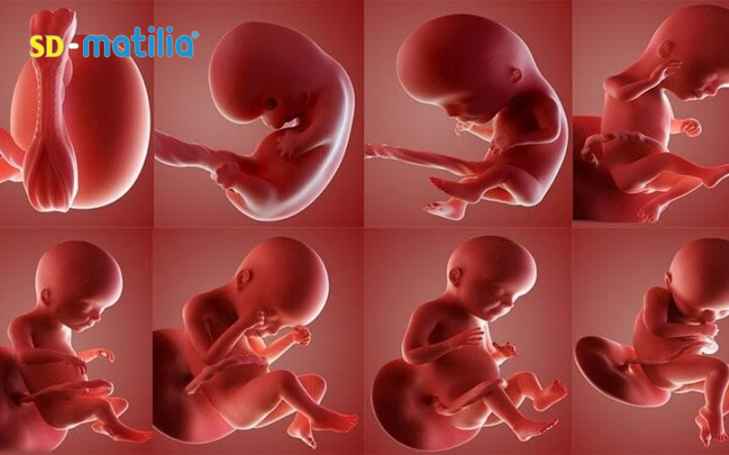 Sự phát triển khỏe mạnh của bé luôn là điều khiến mẹ lo lắng