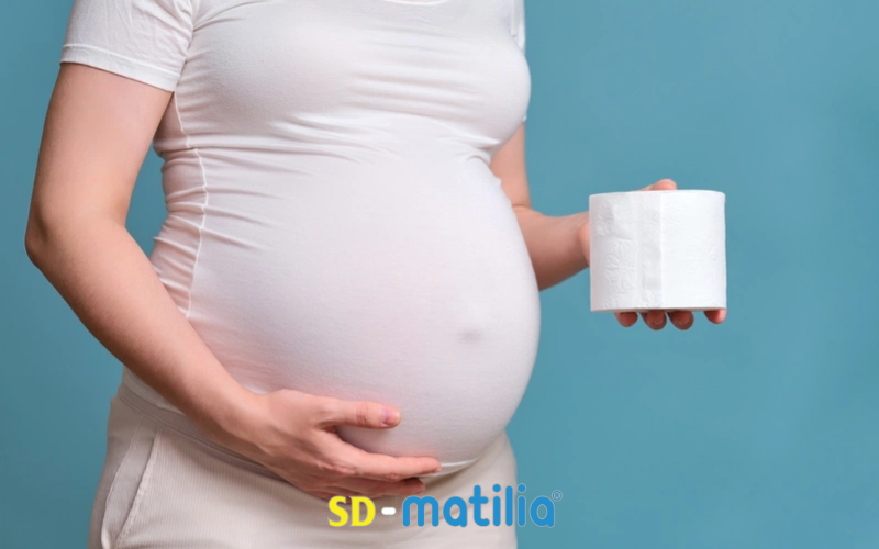 Các loại sữa bầu hỗ trợ tiêu hóa cho mẹ bầu tốt nhất hiện nay