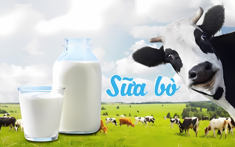 Sữa động vật tiệt trùng