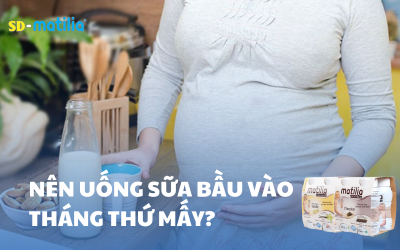 Nên uống sữa bầu vào tháng thứ mấy? Sữa bầu nào tốt?