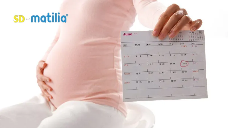 Mang thai lần đầu: Lịch khám thai định kỳ dành cho lẹ bầu thường sẽ là hàng tuần