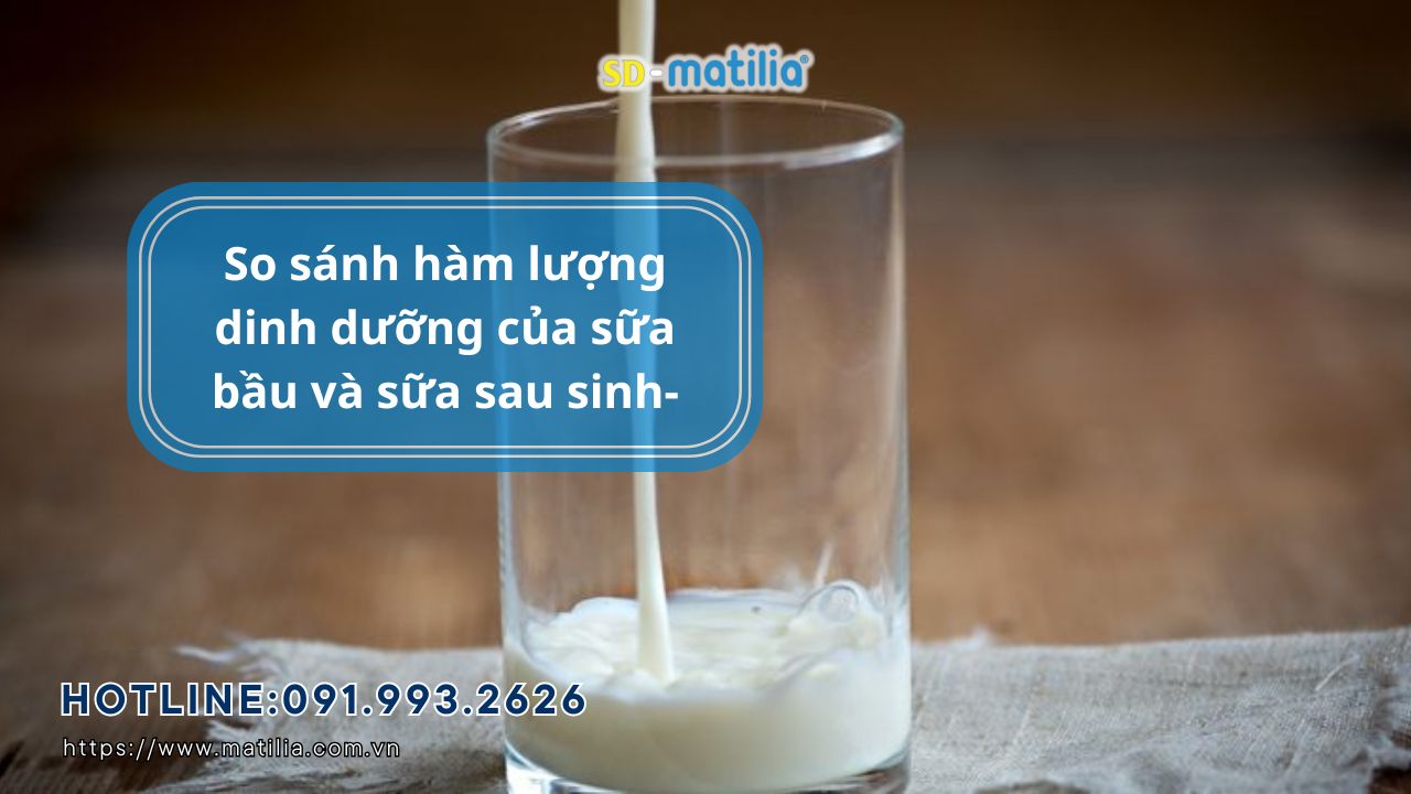 Hàm lượng dinh dưỡng của sữa bầu và sữa sau sinh khác nhau như thế nào?
