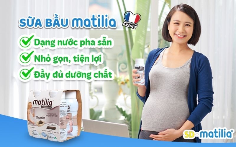 Giá sữa bầu Matilia