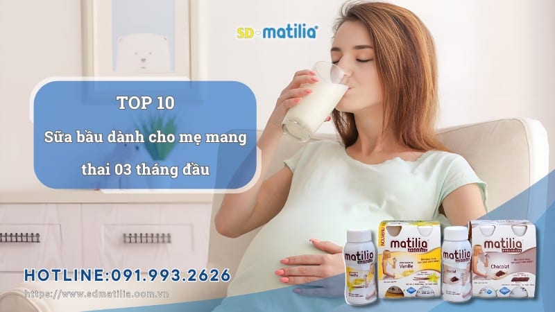 Top 10 loại sữa bầu dành cho mẹ mang thai 03 tháng đầu