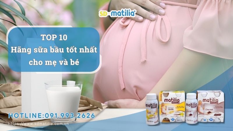 Top 10 loại sữa bầu tốt nhất cho mẹ và bé