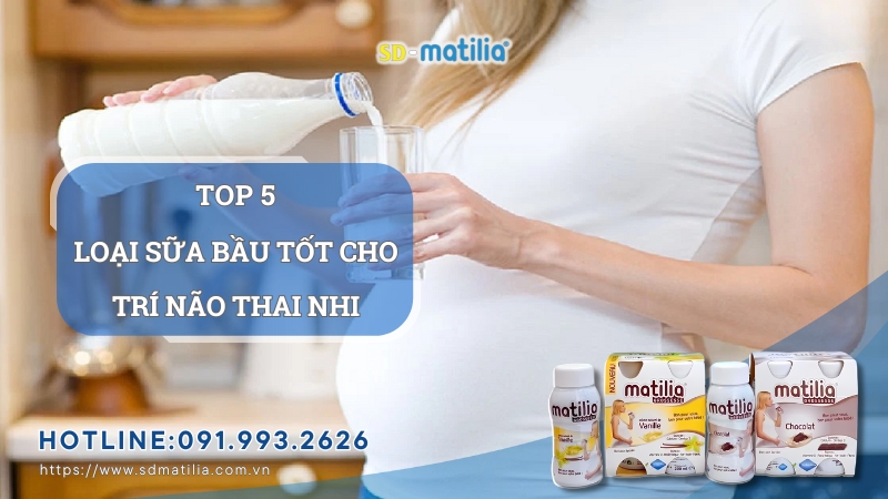 Sữa bầu tốt cho trí não thai nhi