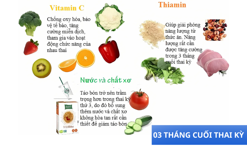 Giai đoạn cuối thai kỳ bổ sung Vitamin, nước và chất xơ