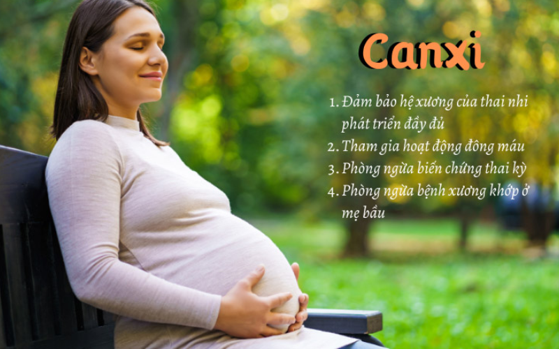 Canxi cũng đóng một vai trò không kém phần quan trọng trong quá trình mang thai.