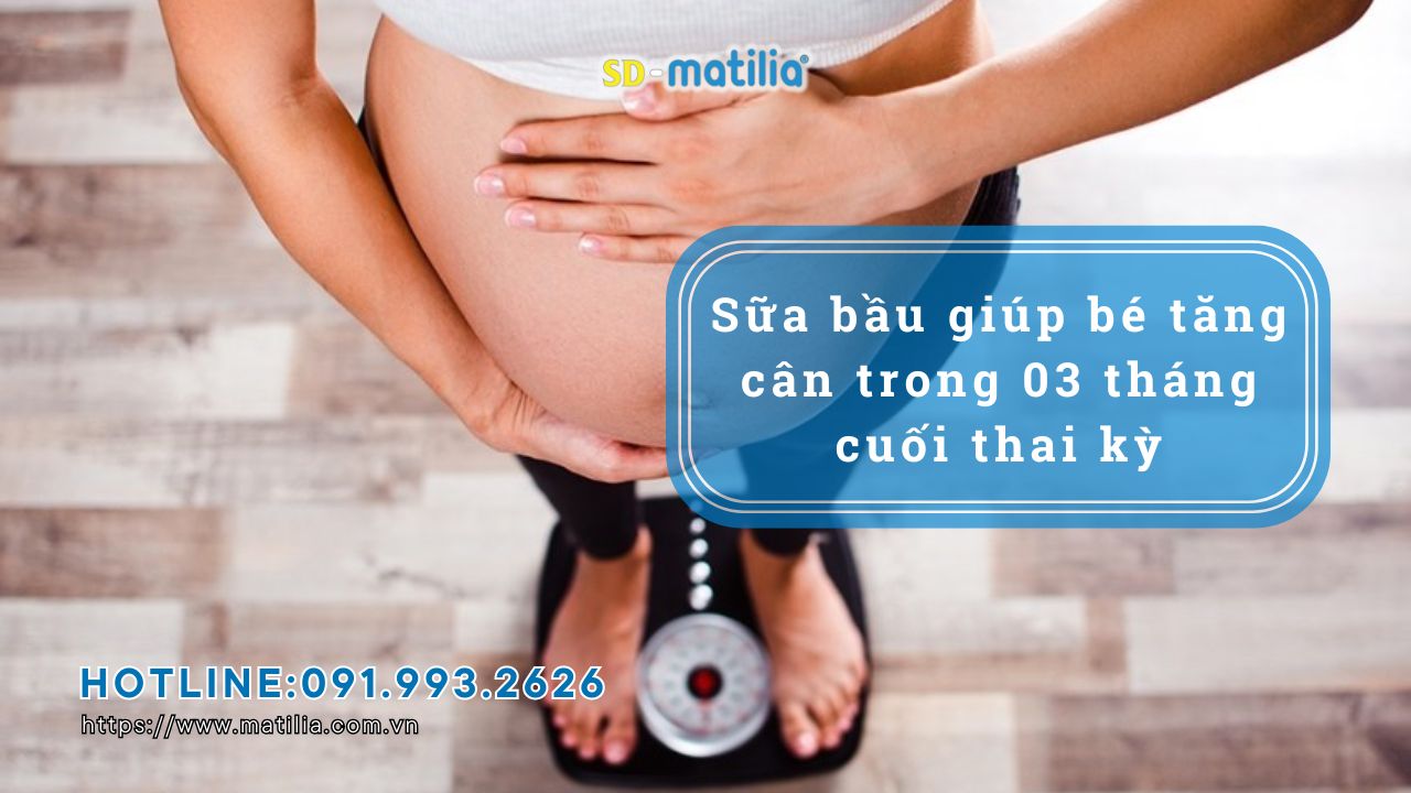 Sữa bầu giúp bé tăng cân nhanh trong 3 tháng cuối thai kỳ