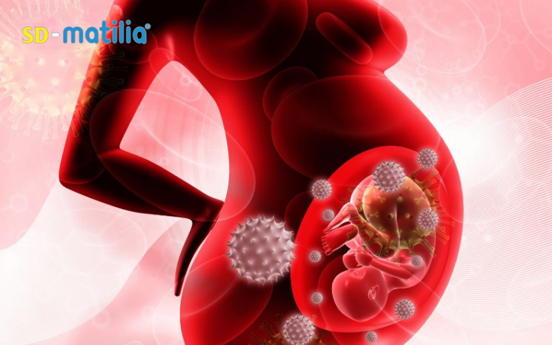 Hệ miễn dịch khỏe mạnh là yếu tố giúp mẹ bầu phòng tránh các bệnh lý nguy hiểm trong thai kỳ