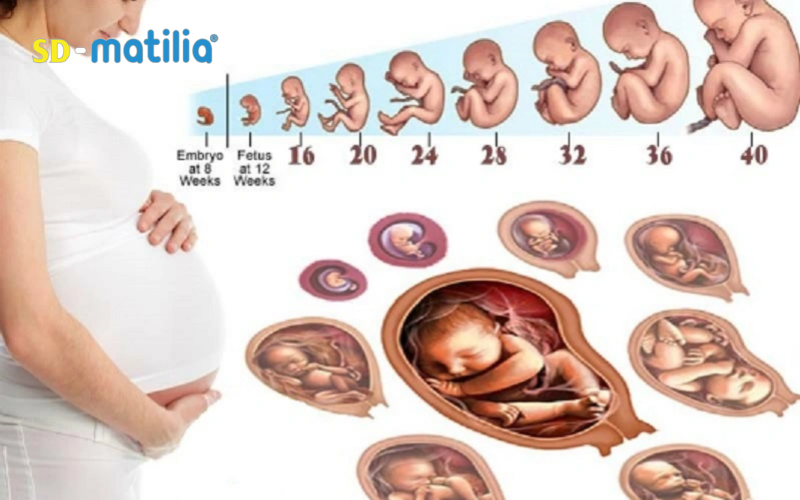Theo dõi sự phát triển của bé thường xuyên sẽ giúp phát hiện sớm những bất thường