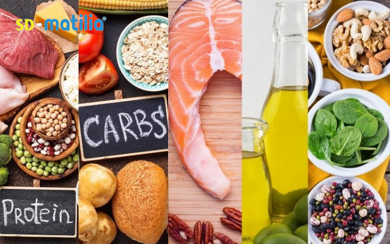 Thực đơn cho bà bầu nên có đầy đủ 4 nhóm chất: tinh bột, chất đạm, chất béo tốt và vitamin - khoáng chất