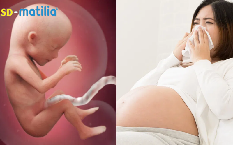 Ốm nghén nặng kéo dài sẽ khiến cơ thể mẹ và thai nhi thiếu dinh dưỡng, điện giải